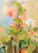 le-grand-begonia-huile-65x50